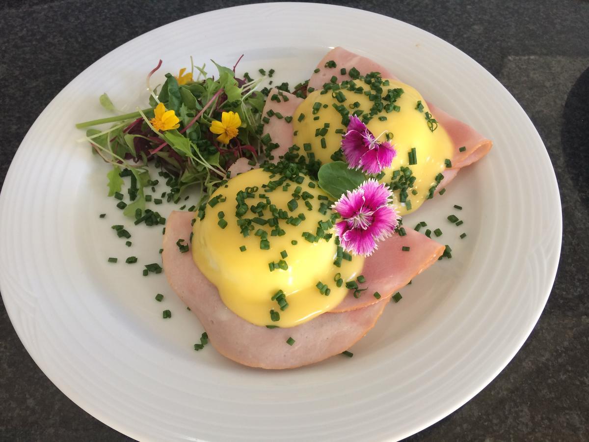The Lions Guest House 케이프타운 외부 사진